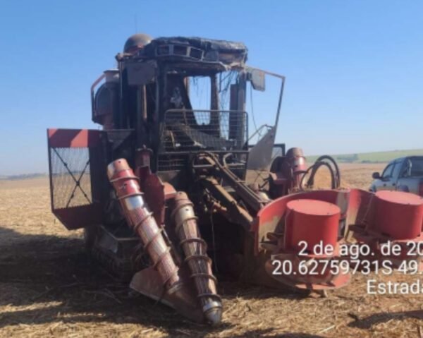 Colheitadeira Case IH A 7700 - Ano 2009 - Série A771546 - Image 3